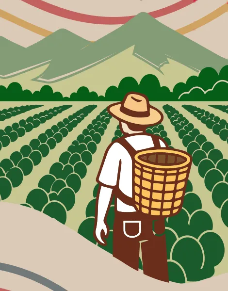 Ilustración del empaque: caficultor con sombrero y canasto frente a los surcos de un cafetal