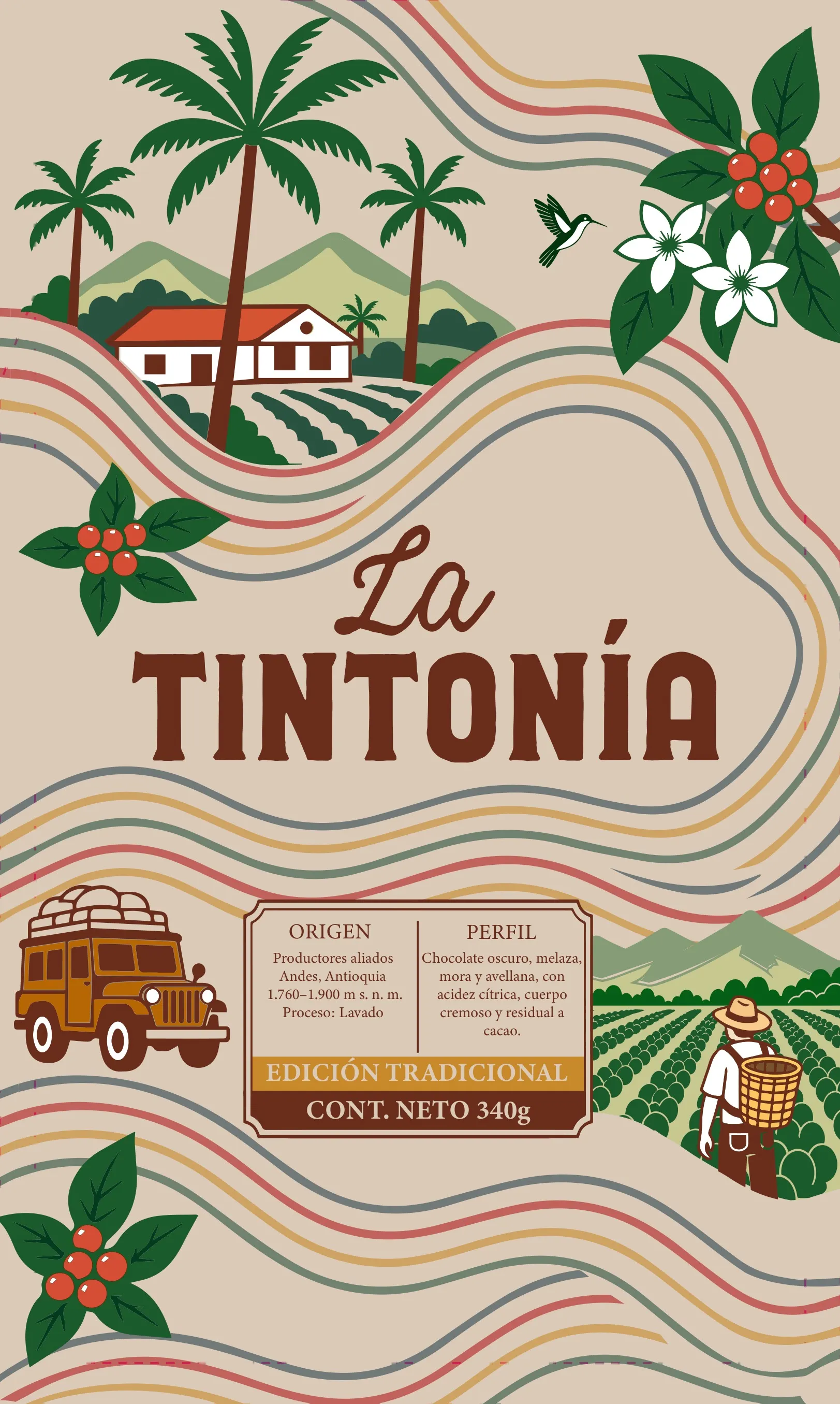 Arte frontal de la bolsa de 340 g de La Tintonía Edición Tradicional: finca cafetera con palmas, colibrí, ramas de café, un jeep Willys cargado y un caficultor con canasto entre franjas onduladas